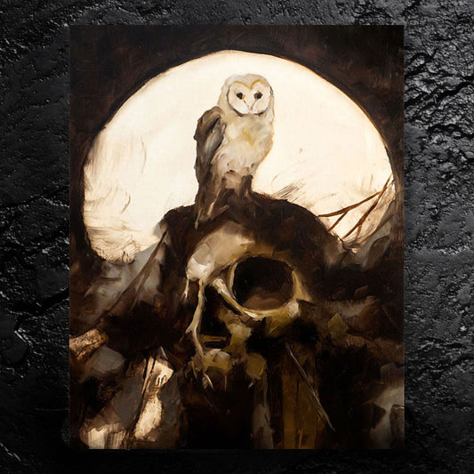 Lacking Wisdom - about reinforced ideas - 11x14, 11x17 Print